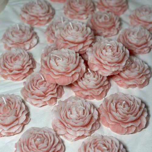 WhatsApp Image 2025-09-23 at 9.13.14 AM